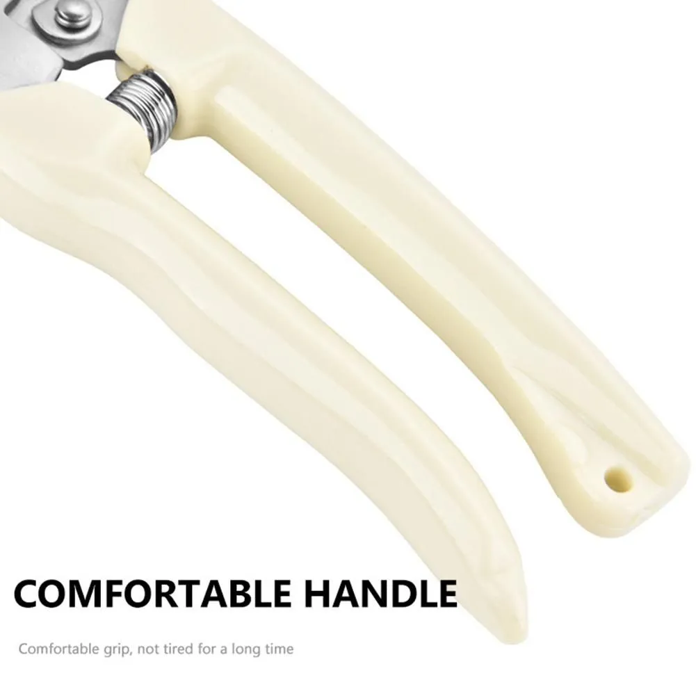 Spa ProBrush